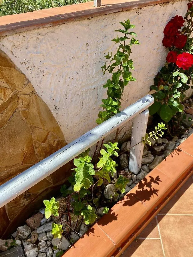 L'Oasi Di Chia Bed & Breakfast 0*,  Italy