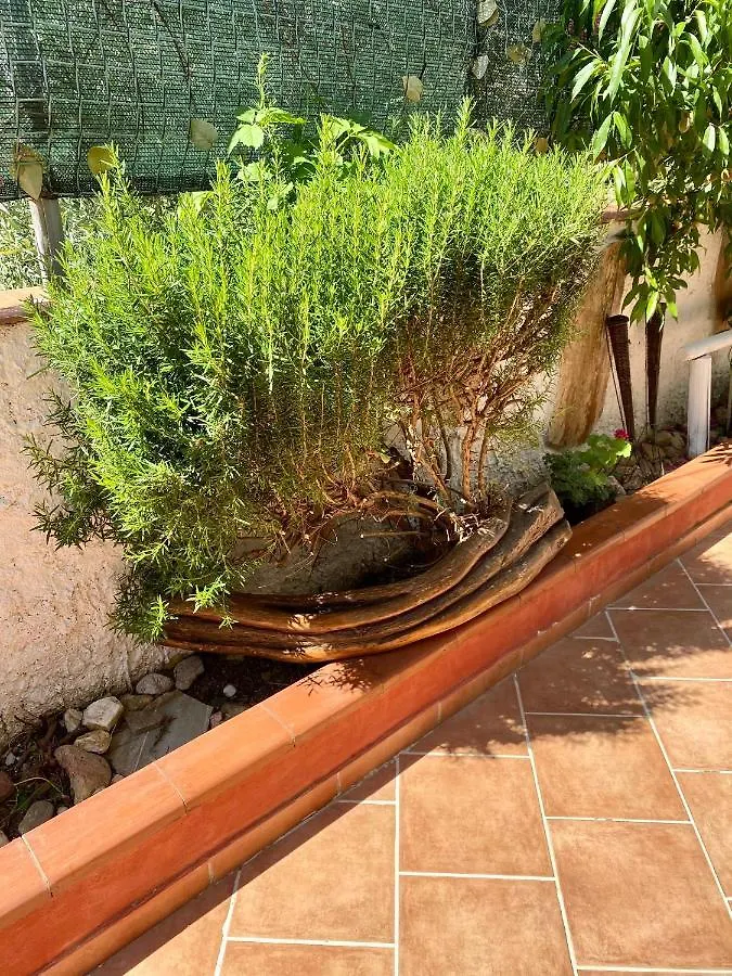 L'Oasi Di Chia Bed & Breakfast