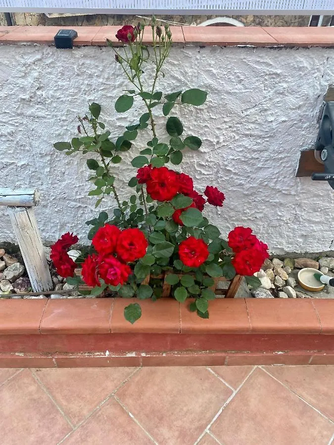 L'Oasi Di Chia Bed & Breakfast