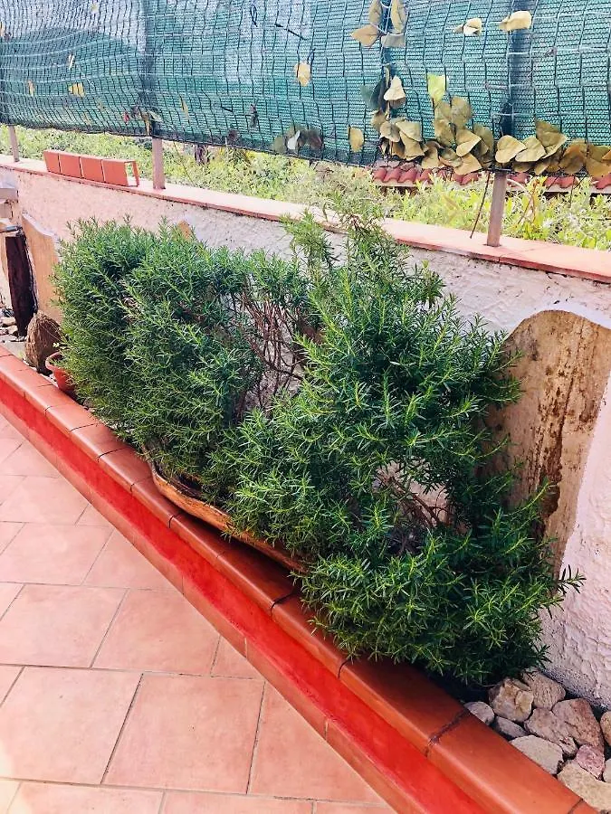 L'Oasi Di Chia Bed & Breakfast Italy